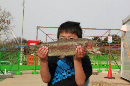 としまえんフィッシングエリア 釣果