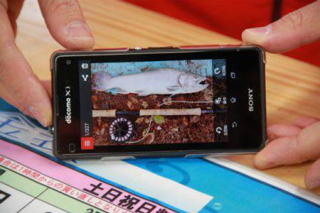 としまえんフィッシングエリア 釣果