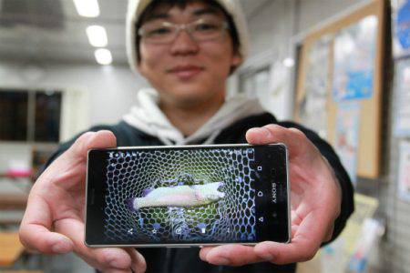 としまえんフィッシングエリア 釣果