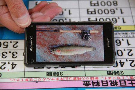 としまえんフィッシングエリア 釣果