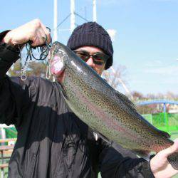 としまえんフィッシングエリア 釣果