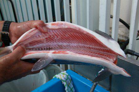 としまえんフィッシングエリア 釣果