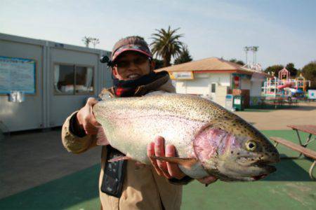 としまえんフィッシングエリア 釣果