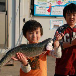 としまえんフィッシングエリア 釣果