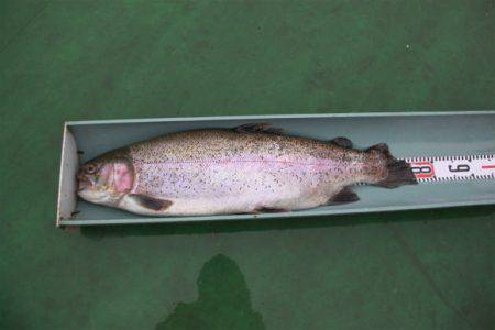 としまえんフィッシングエリア 釣果