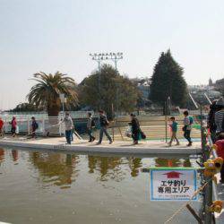 としまえんフィッシングエリア 釣果