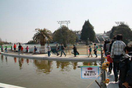 としまえんフィッシングエリア 釣果