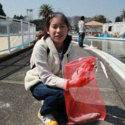 としまえんフィッシングエリア 釣果