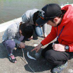 としまえんフィッシングエリア 釣果