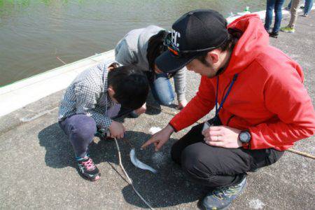 としまえんフィッシングエリア 釣果