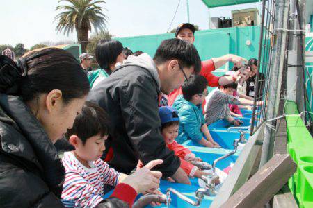 としまえんフィッシングエリア 釣果