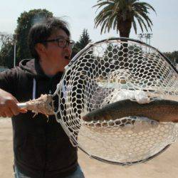 としまえんフィッシングエリア 釣果