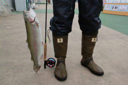 としまえんフィッシングエリア 釣果