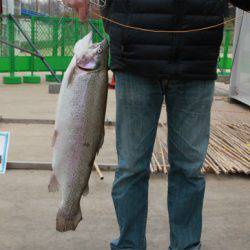 としまえんフィッシングエリア 釣果