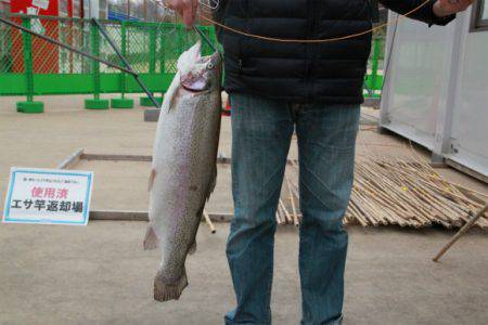 としまえんフィッシングエリア 釣果