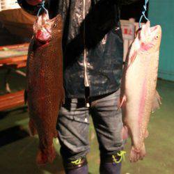 としまえんフィッシングエリア 釣果