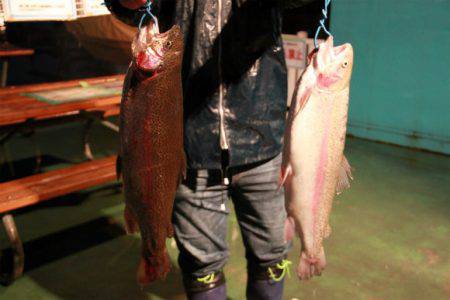 としまえんフィッシングエリア 釣果