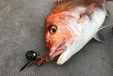 South Current 釣果