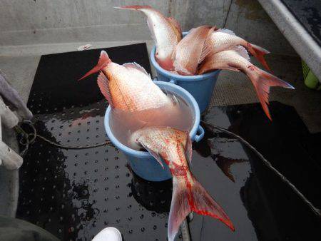 LUSTER『ラスター』 釣果