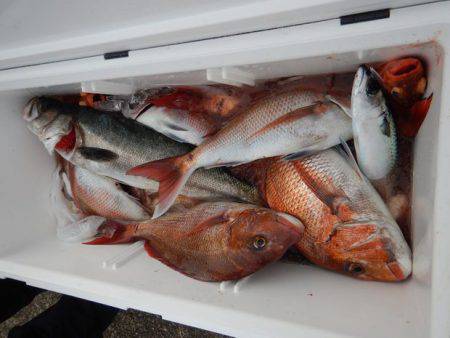 LUSTER『ラスター』 釣果