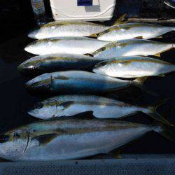 LUSTER『ラスター』 釣果