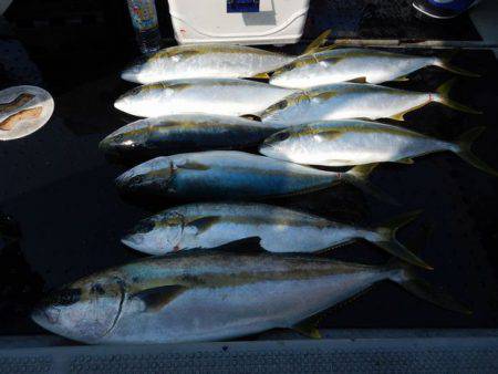 LUSTER『ラスター』 釣果