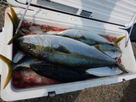 LUSTER『ラスター』 釣果