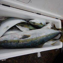 LUSTER『ラスター』 釣果