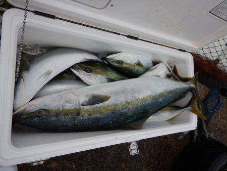 LUSTER『ラスター』 釣果