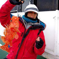 Big One　ビッグワン 釣果