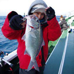 Big One　ビッグワン 釣果