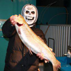 としまえんフィッシングエリア 釣果