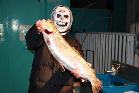 としまえんフィッシングエリア 釣果