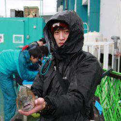 としまえんフィッシングエリア 釣果