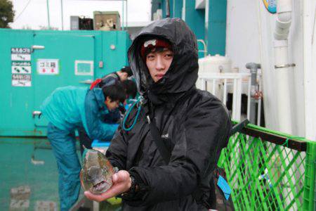 としまえんフィッシングエリア 釣果