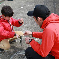 としまえんフィッシングエリア 釣果