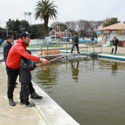 としまえんフィッシングエリア 釣果