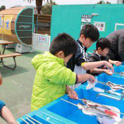 としまえんフィッシングエリア 釣果