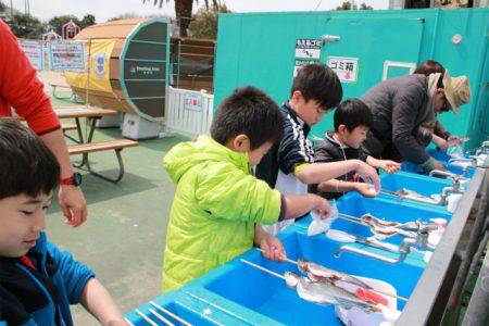 としまえんフィッシングエリア 釣果