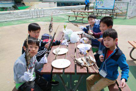 としまえんフィッシングエリア 釣果