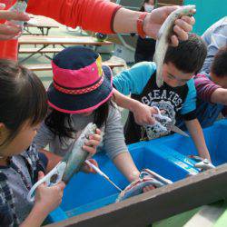 としまえんフィッシングエリア 釣果