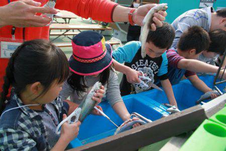 としまえんフィッシングエリア 釣果