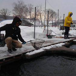 つりぼりあかし 釣果