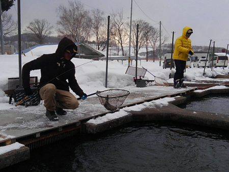 つりぼりあかし 釣果