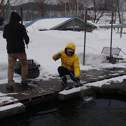 つりぼりあかし 釣果