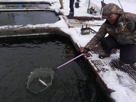 つりぼりあかし 釣果