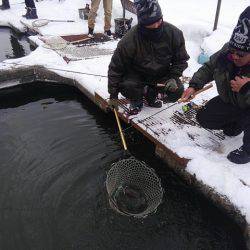 つりぼりあかし 釣果