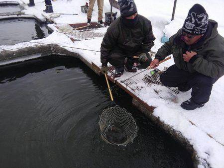 つりぼりあかし 釣果