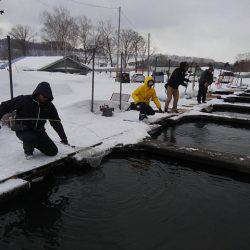 つりぼりあかし 釣果