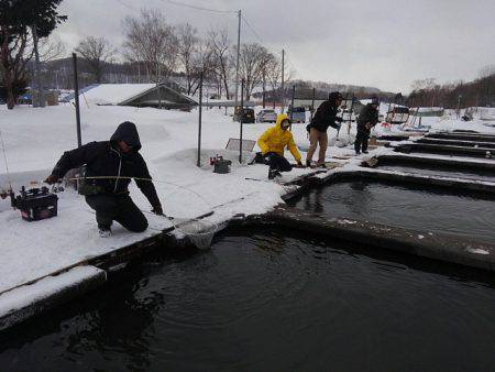 つりぼりあかし 釣果